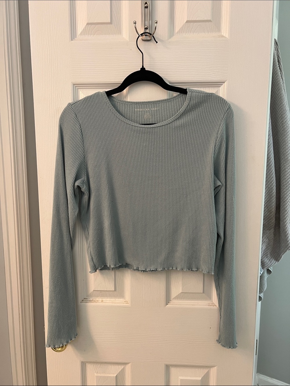 American Eagle Outfitters Light Blue Ribbed Long-Sleeve Crop Top